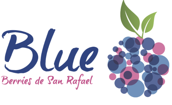 Logo de BLUEBERRIES DE SAN RAFAEL